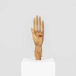 Shabahang Tayyari, Heart-pet, 2026