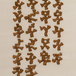 Duyi Han 韩笃一, Plant Photosystem I Super-Complex Components with Vase 植物光系统 I 超级复合体组件瓶花, 2024