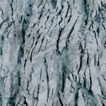 Michael Najjar 迈克尔·耐贾尔, space garden 太空花园, 2013