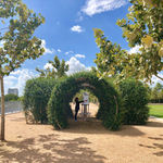 Donald Lipski, Sirshasana (Detail)