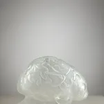 Peter Kogler, Flower-Brain (large), 2025