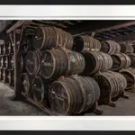 Mario Basner, Chai Cognac No.1, 2023