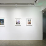 Darren Waterston, Illumination Study 2, 2024