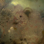 Darren Waterston, Low Humm, 2024