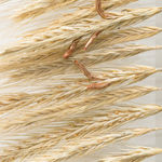 Andreas Greiner, Monument of the 308 (1:8), 2017