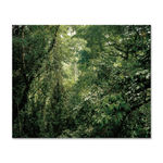 Olaf Otto Becker, Walking along Permafrost Cliffs 4-tlg. V2, 2019