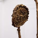 Alicja Biala, Hyperaccumulator (5), 2025