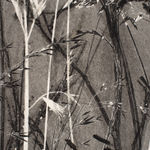 Frances Malcomson, Entangling 2, 2024