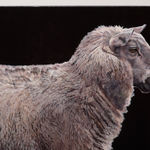 Stephanie Tabram, Still (White Faced Heron), 2020