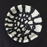 Locust Jones, Geronimo, 2011