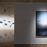 Michaye Boulter, We contain multitudes VIII, 2021