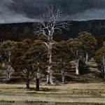 Stephanie Tabram, Wattle & Tarnished Silver, 2022