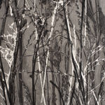 Frances Malcomson, Entangling 2, 2024