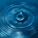 Megan Walch, WearEver, 2022