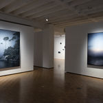 Michaye Boulter, We contain multitudes VIII, 2021