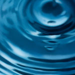 Megan Walch, WearEver, 2022