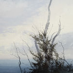 Philip Wolfhagen, The Passage of Shadows, 2020