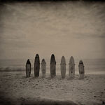 Joni Sternbach, 18.06.04 #5T Brewer Trent, 2018