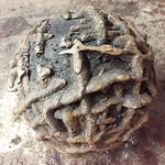 Jay Heikes, The Devil Has Left My Building, 2015