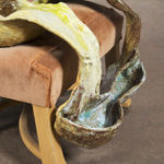 Jessica Jackson Hutchins, The Star, 2020