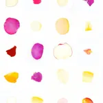 Sarah Meyohas, Infinite Petals (1,350 Petals starting from Numeric Seed #208219), 2023