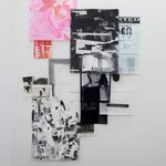 Suzanne McClelland, Internal Affairs: 7 FBI Domestic Terrorist Files: Domestic Terrorist: Borup Portfolio 1 of 7, 2015