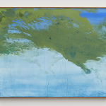 Thiago Rocha Pitta, The Green Shelter, 2017