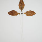 Pier Paolo Calzolari, Untitled (Occhio di Dio), 1971