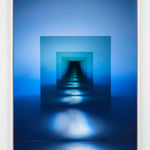 Sarah Meyohas, Dawn Chorus, 2019-2022