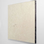 Pier Paolo Calzolari, Untitled #10, 2016