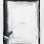 Suzanne McClelland, Internal Affairs: 7 FBI Domestic Terrorist Files: Domestic Terrorist: Borup Portfolio 1 of 7, 2015