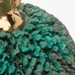 Celeste Rapone, Truffle Hunt, 2023