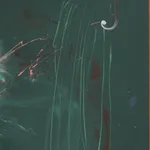 Kwamé Azure Gomez, Back water Blue New moon (after Dianne), 2025