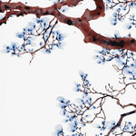 Jackie Battenfield, Aria cs2, 2023