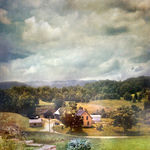 David Douglas, Study Portrait of a Zinnia, 2025