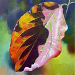 Fleming Cunningham, Poppies Family Creation, 2020