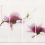 Jeri Eisenberg, Dogwood (Pink), 2008