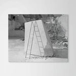 William Wylie, Tripod, 2016