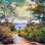 David Douglas, Study Portrait of a Zinnia, 2025