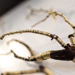 Steve Bickley, Silver Ash, 2025