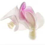 Robert Llewellyn, Untitled (white and pink flower)