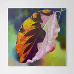 Fleming Cunningham, Poppies Family Creation, 2020