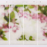 Jeri Eisenberg, Dogwood (Pink), 2008