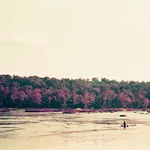 Cate Duckwall, Wetlands 2, 2023