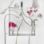 John Grant, Spawn (from Fairy Tales and Reveries series), 2008