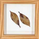 Sarah Boyts Yoder, About Face 3, 2024