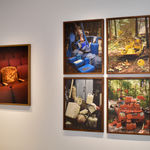 Amanda Means, Light Bulb 29, 2024