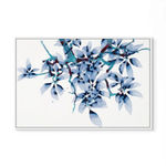 Naomi McCavitt, Morus, 2026