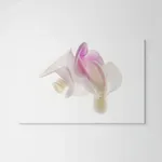 Robert Llewellyn, Untitled (white and pink flower)