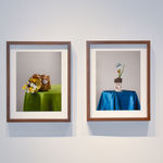 Amanda Means, Light Bulb 29, 2024